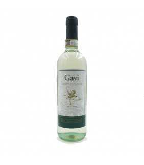 vino bianco gavi la malcotti