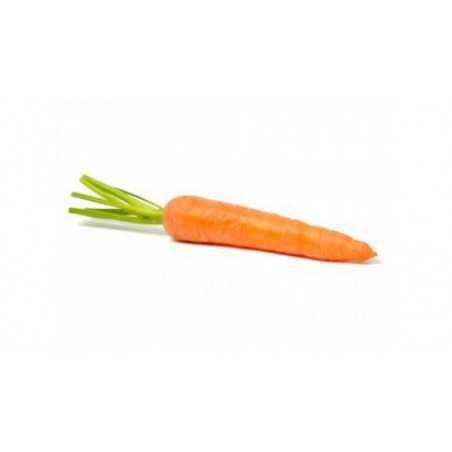 carota sfusa