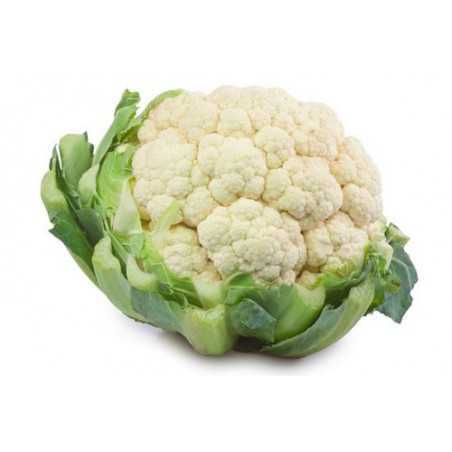 cavolfiore