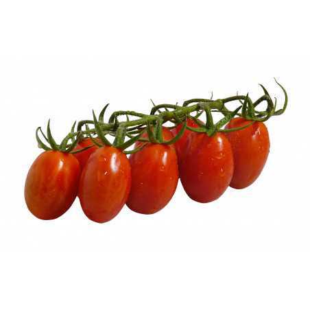 pomodoro datterino