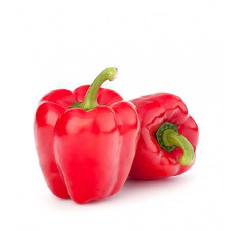 peperone rosso