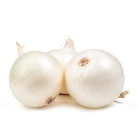 cipolla bianca