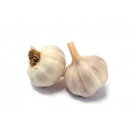 aglio bianco