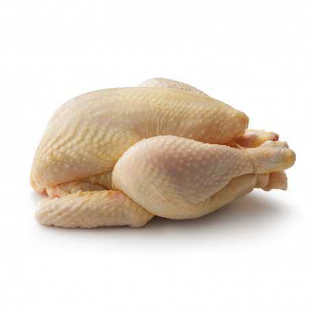 pollo a busto