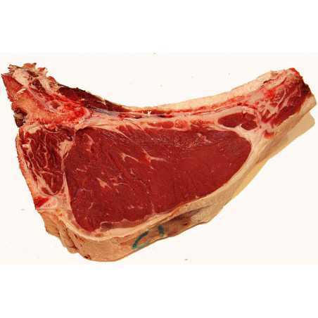 costata