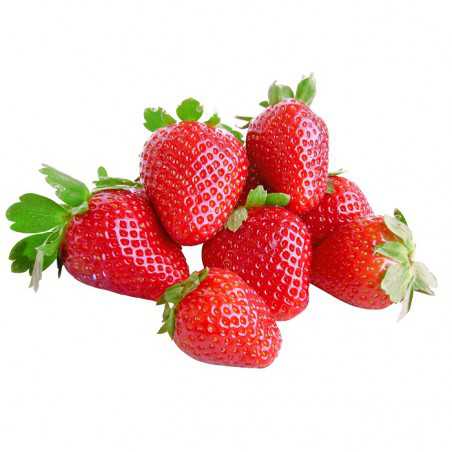 fragole