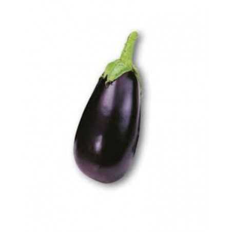 melanzana nera