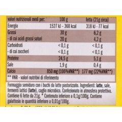 formaggio leerdammer special toast