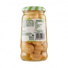 saclà sottolì funghetti