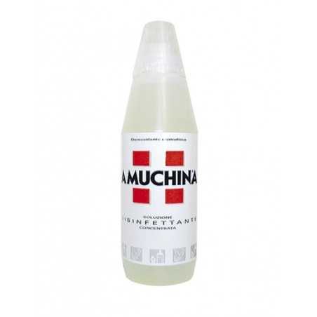 soluzione disinfettante concentrata amuchina