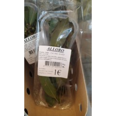 alloro